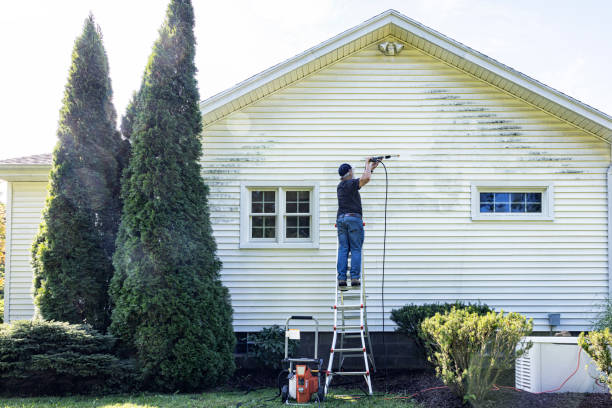 Best Deck Cleaning Services  in Johnson Creek, WI